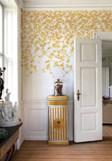 Passiflores su misura