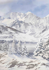 Glaciers sur mesure