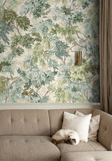 Les Oiseaux Sur Mesure