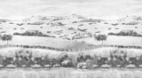 Vendanges sur mesure
