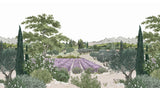 Provence Colorato su misura