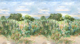 ROSES TRÉMIÈRES nach Mass