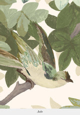 Les Oiseaux Sur Mesure