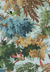 Les Oiseaux Sur Mesure