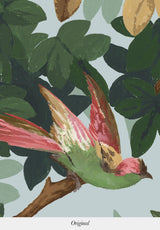 Les Oiseaux Sur Mesure