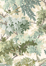 Les Oiseaux Sur Mesure