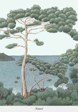 Port-Cros su misura