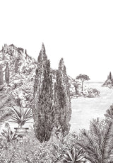 Cyprès a medida