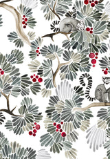 Lémuriens su misura