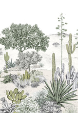 Succulentes nach Maß