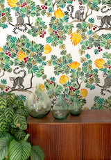 Lémuriens su misura