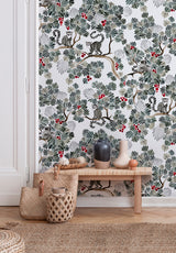 Lémuriens su misura