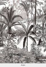 Amazone - mural a medida