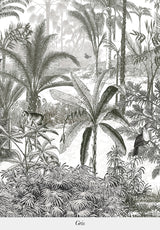 Amazone - mural a medida