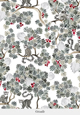 Lémuriens su misura