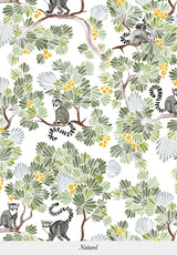 Lémuriens su misura