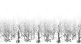 Forêt Enchantée sur mesure