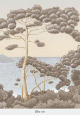 Port-Cros - Mural a medida