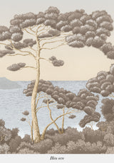 Port-Cros su misura