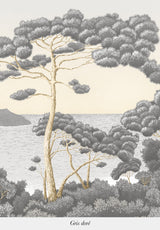Port-Cros - Mural a medida