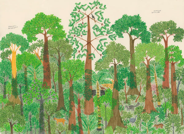 Un hommage à la forêt amazonienne: Isio Bajii (Terrazza Alta) d’après l’oeuvre d’Abel Rodriguez
