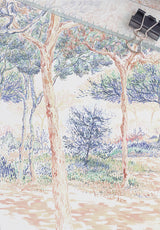 Papier peint panoramique sur mesure Balade sous les pins par Gaylord Le