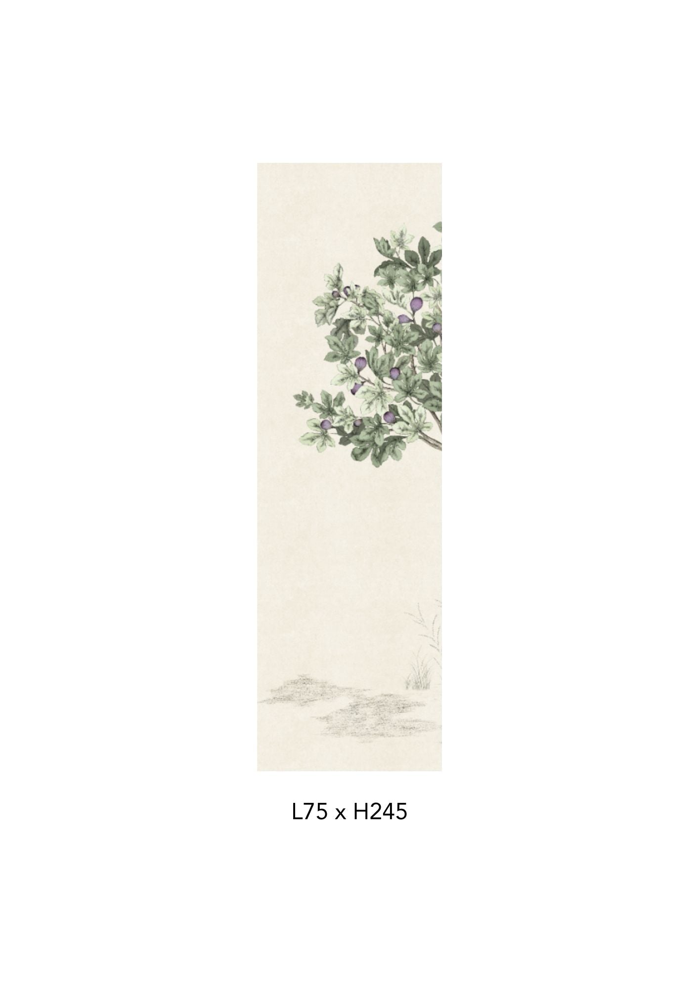 Outlet | Arbustes, Figuier - Naturel - Intissé