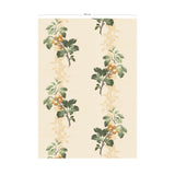 Prunus