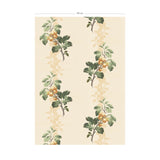 Prunus