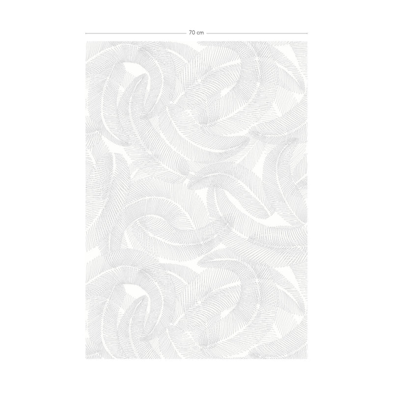Plumes