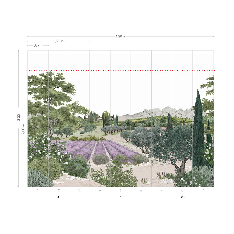 Provence Color