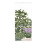 Provence Color