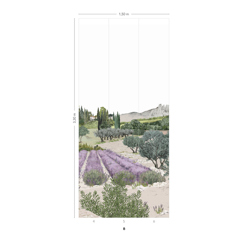 Provence Color