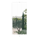 Provence Color
