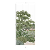 Provence Coloreado