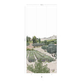 Provence Coloreado