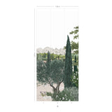 Provence Coloreado