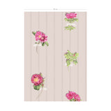 Beach Roses