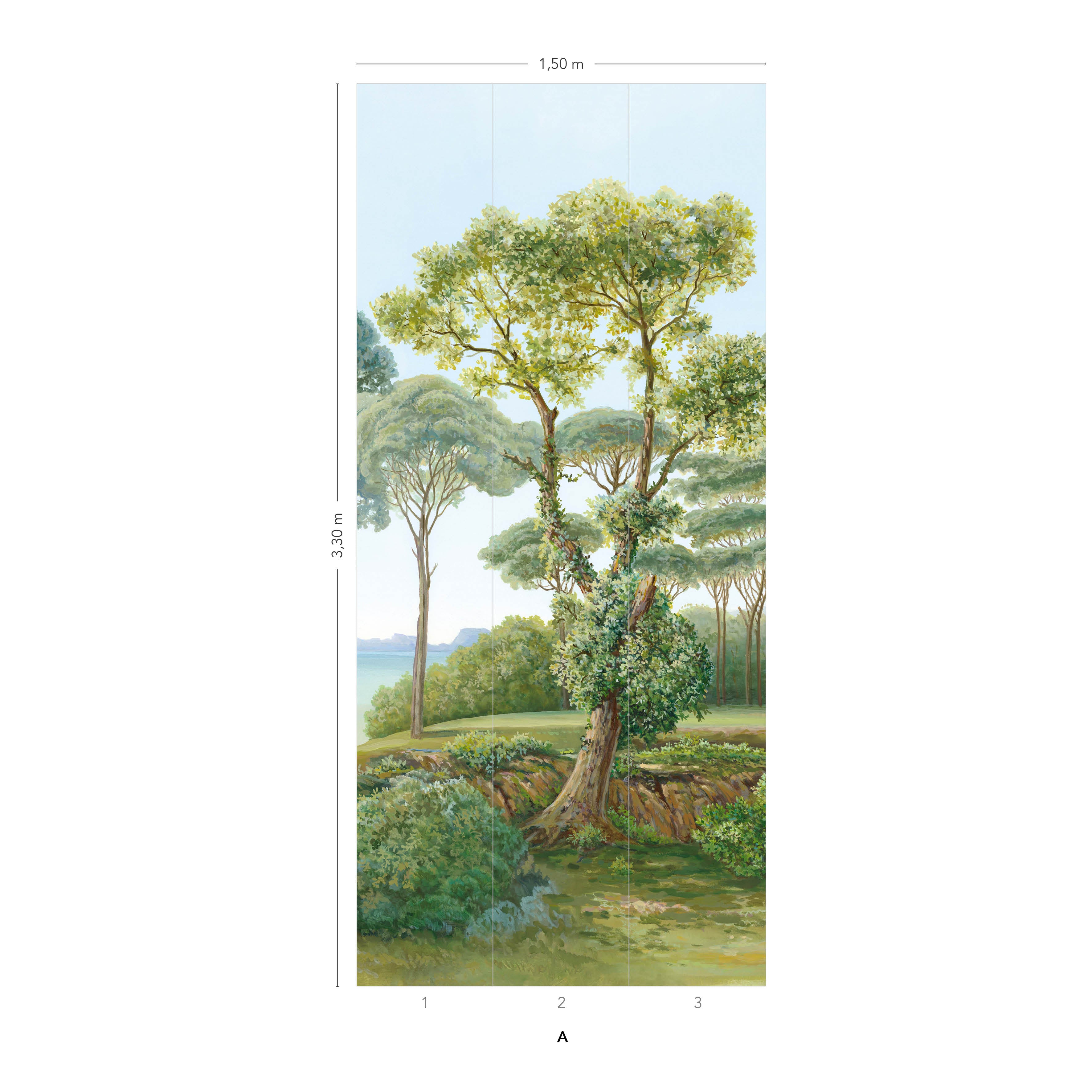 Vue de Naples
