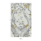 Orphée