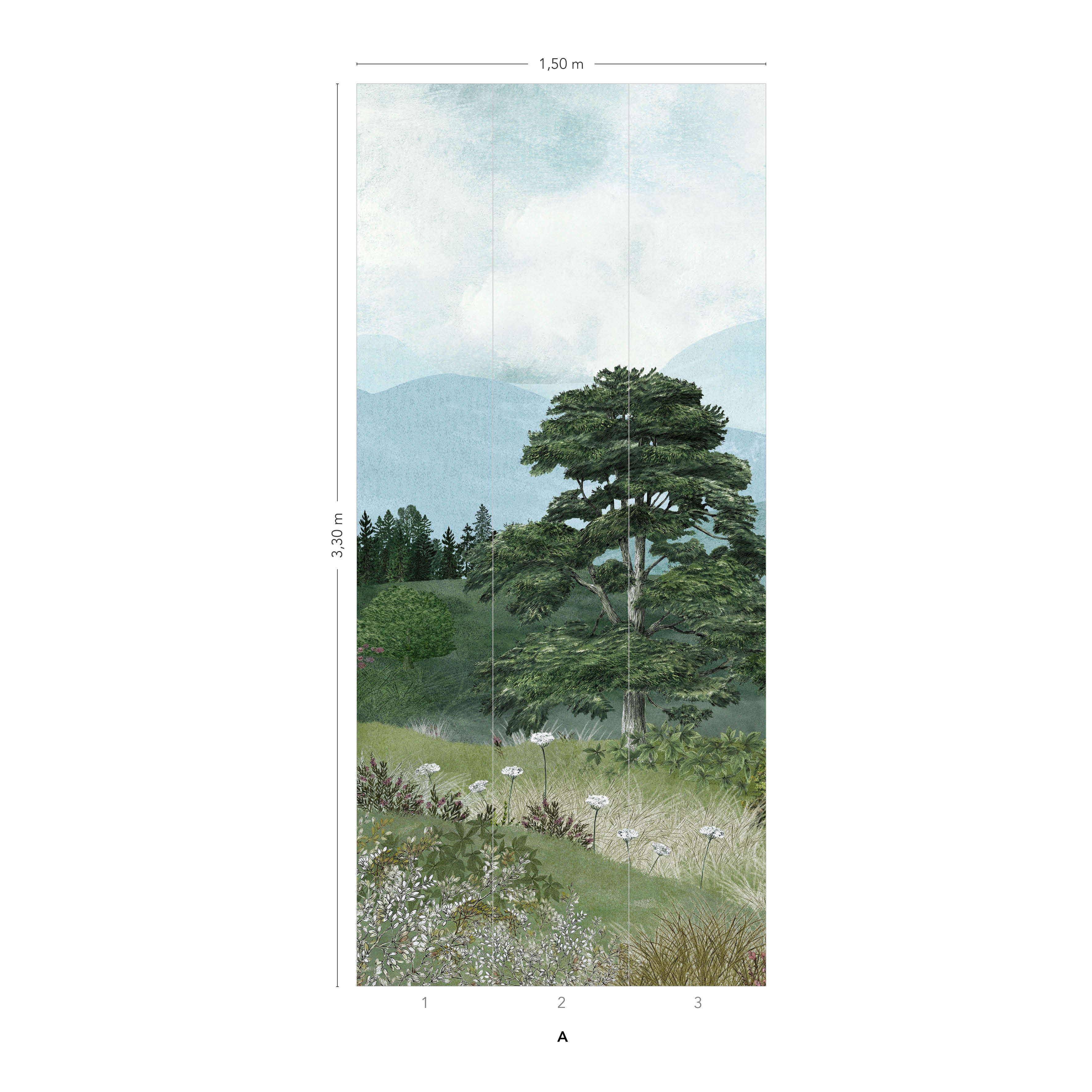 Grand Vallon