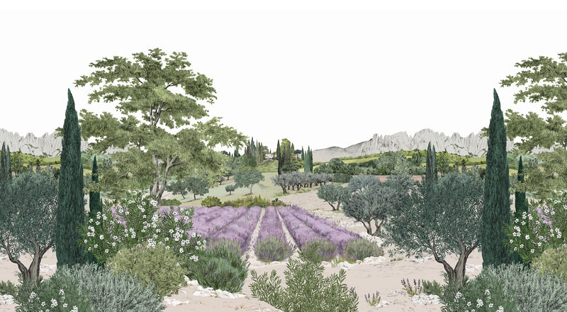 Provence Color Bespoke