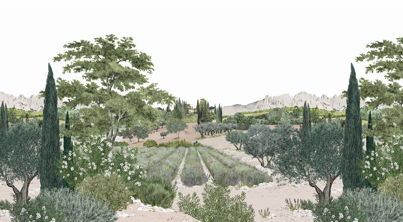Provence Color Bespoke