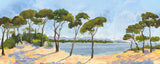 Lérins Sur Mesure