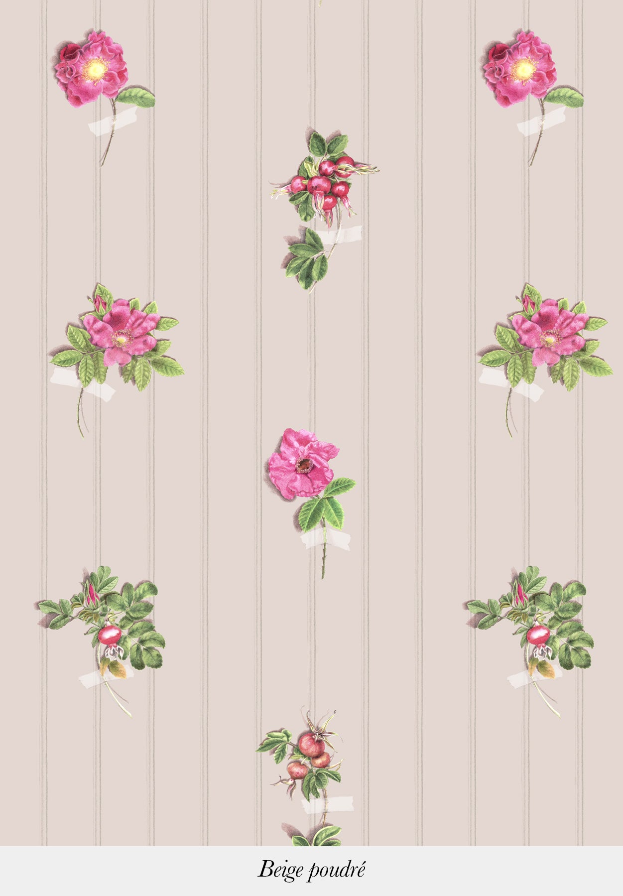 Beach Roses