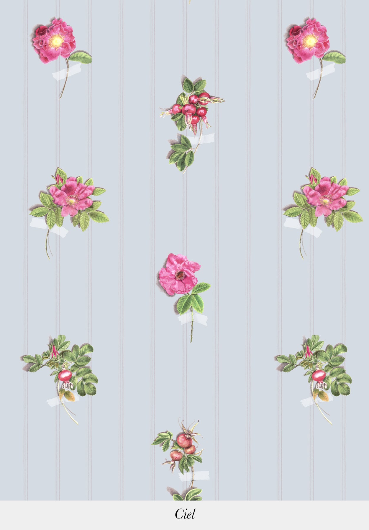 Beach Roses