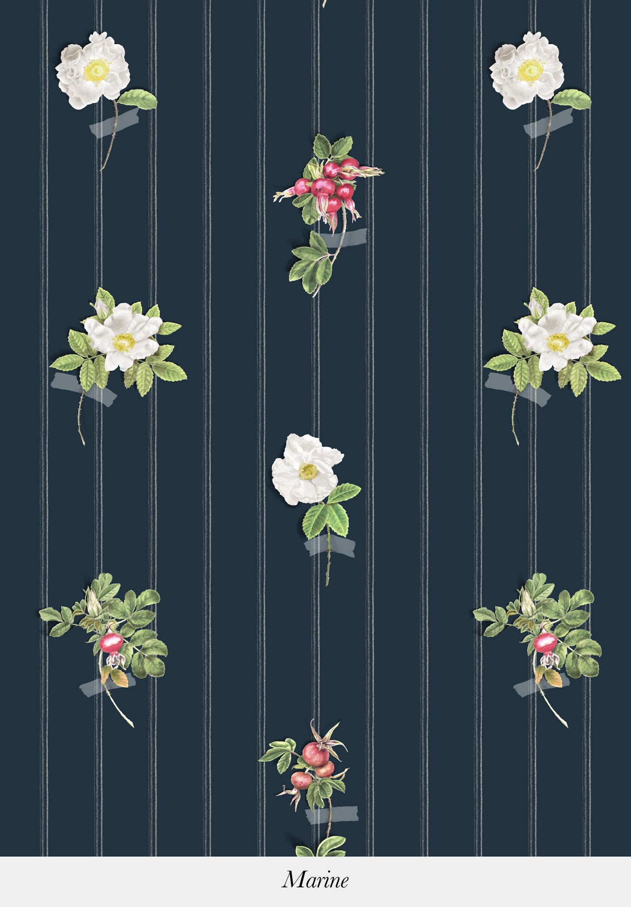 Beach Roses