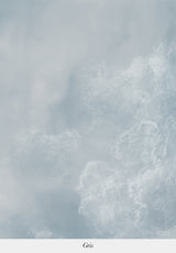 Neige de printemps