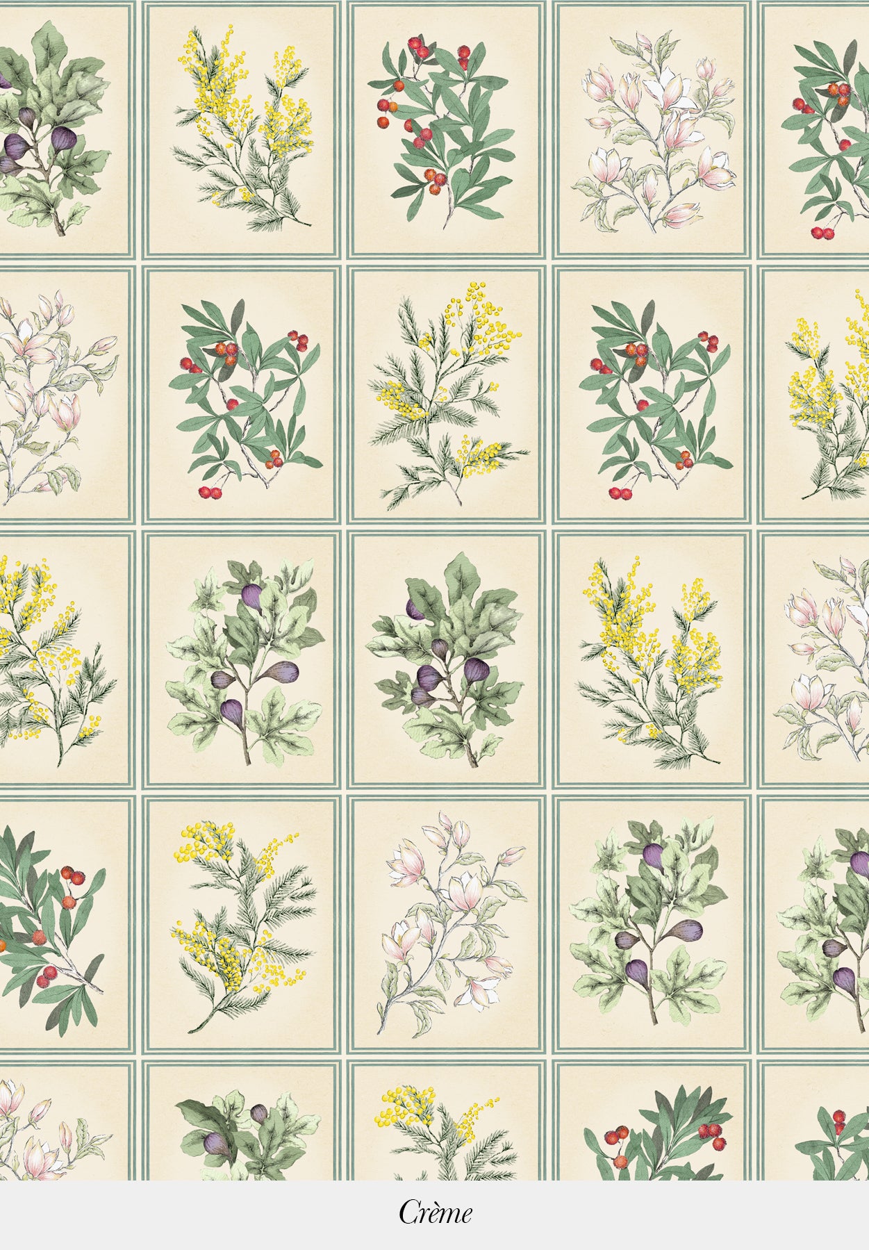 Herbier - POR ROLLO