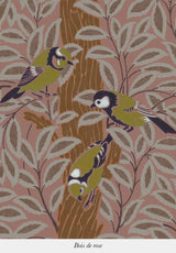 Le Chant des Oiseaux